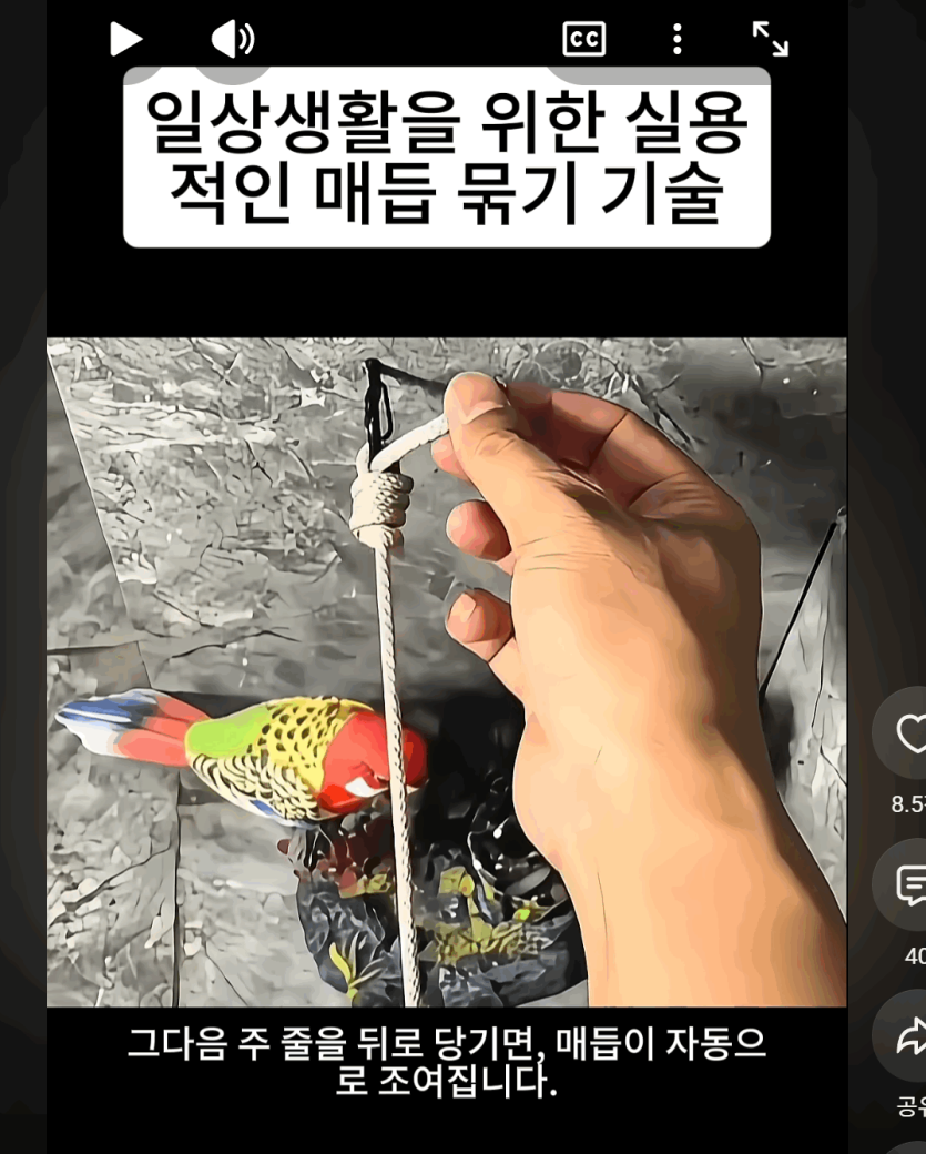 3232235521_1793151000.8342.png