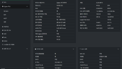 Zigbee2MQTT Add-on 시작 문제점 설정 정리 (SLZB-06P10, Ethernet LAN 소켓 모드)