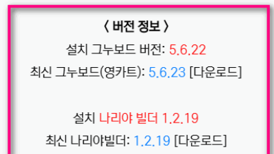 그누보드 및 나리야 버전 표시 및 최신 버전 정보 가져오기